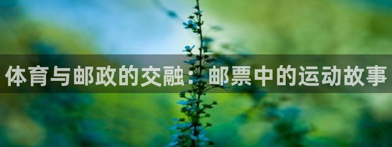 谈球吧体育官网