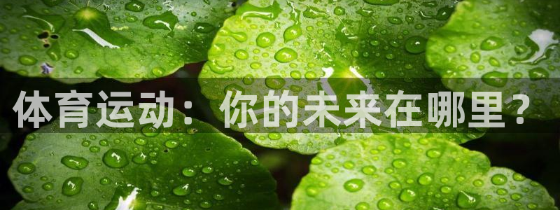 谈球吧体育官网