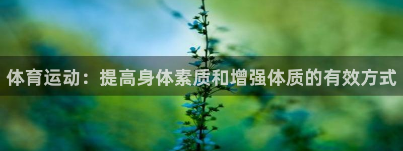 谈球吧体育