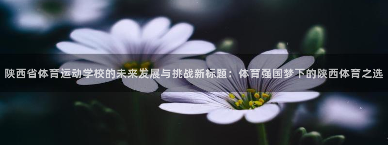 谈球吧