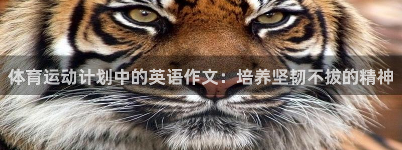 谈球吧
