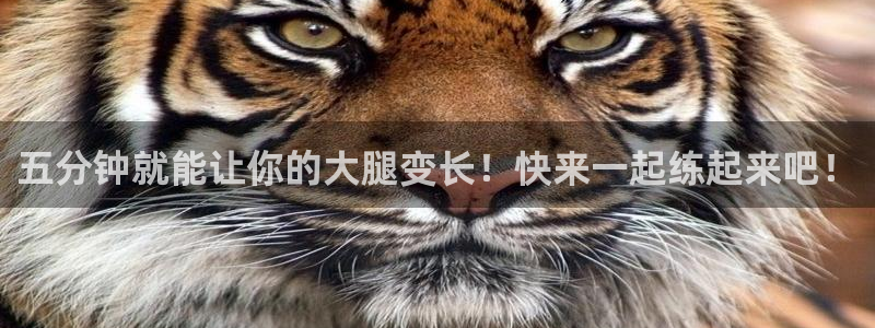 谈球吧体育