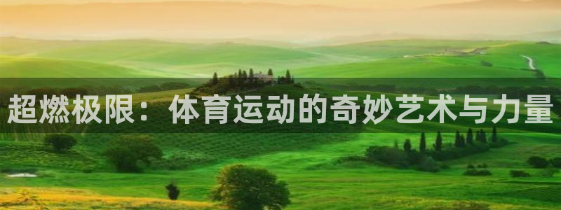 谈球吧