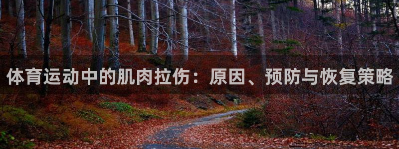 谈球吧体育