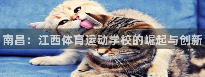 谈球吧