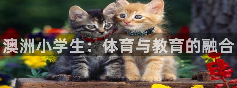 谈球吧体育官网