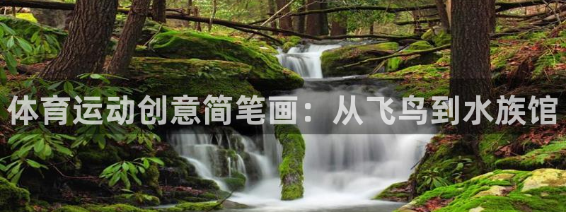 谈球吧