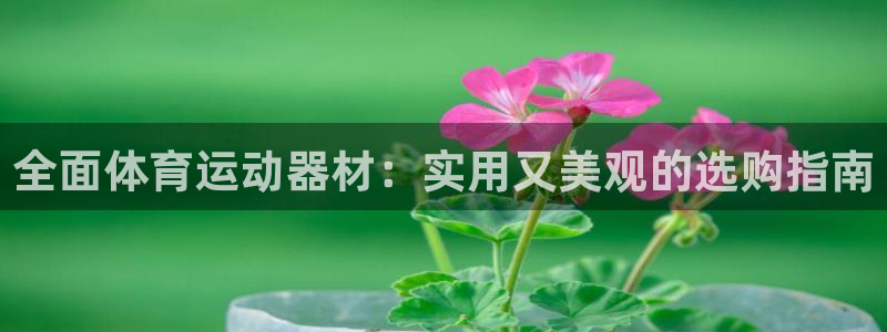 谈球吧体育官网